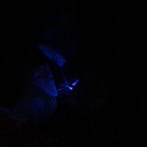 Meet your Posher, Jamar